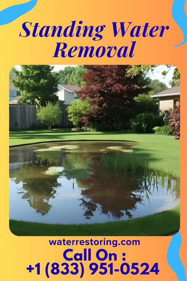 Standing Water Removal in Bridgeport, OK